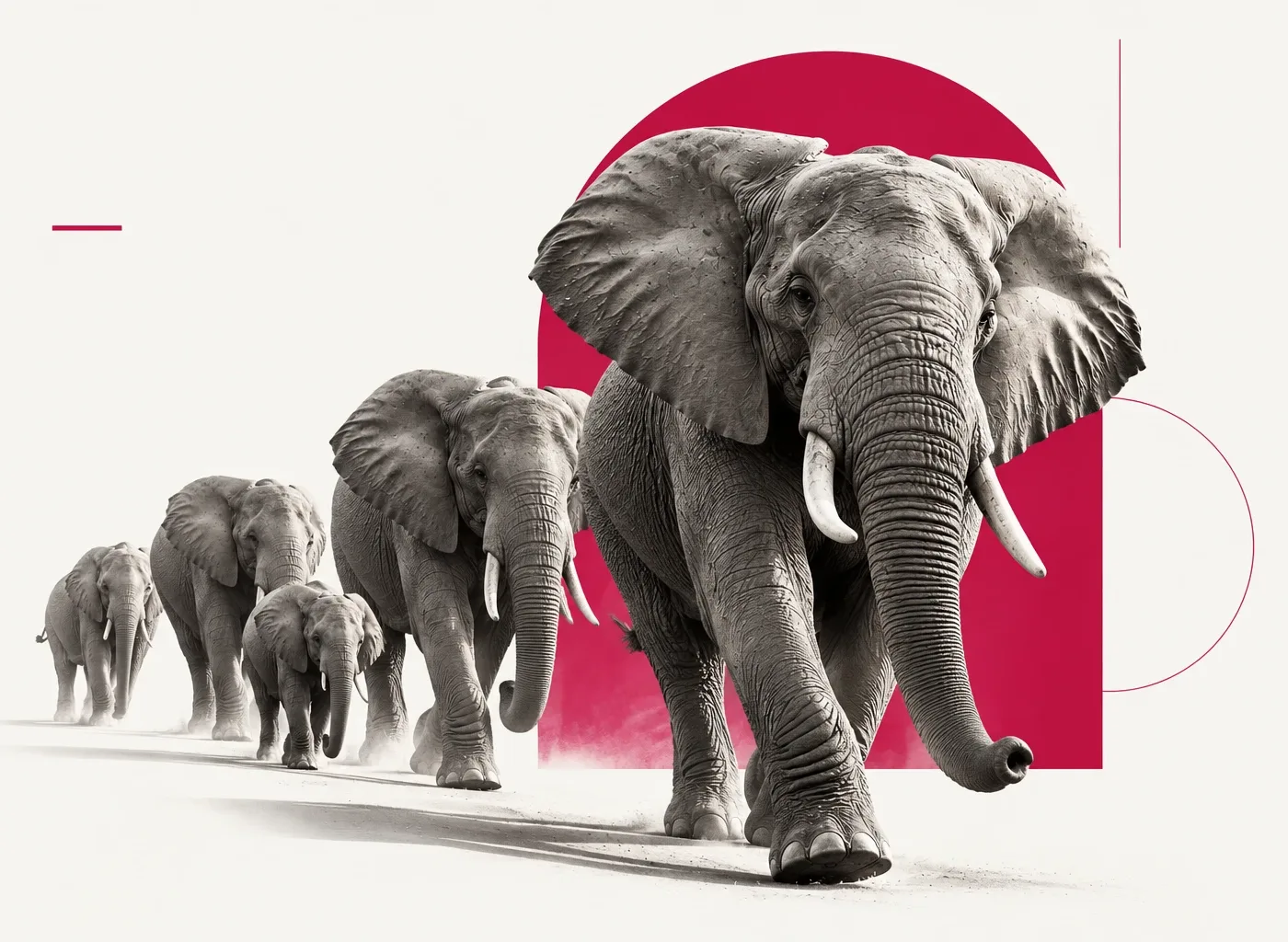 Line of elephants walking in front of a red arch, symbol of FFX Digital